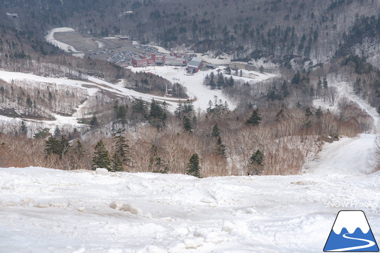 札幌国際スキー場｜2023・ゴールデンウィークがスタート！心配された雪ですが…。大丈夫、ちゃんと残ってくれました(^_-)-☆